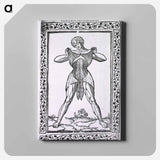 アートパネル-Abdominal Muscles
 - 国立医学図書館 Canvas.