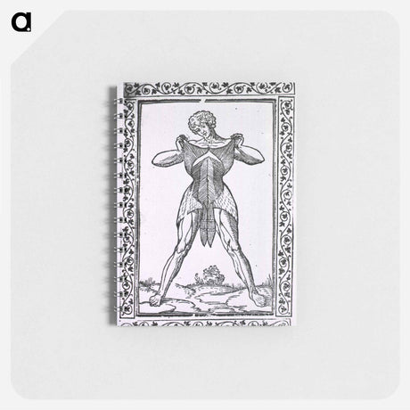 アートメモ帳-Abdominal Muscles
 - 国立医学図書館 Memo.