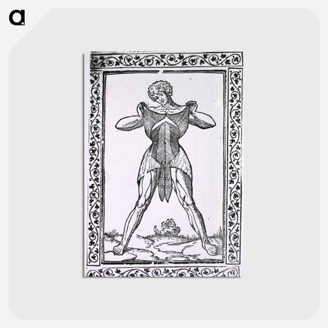 アートポストカード-Abdominal Muscles
 - 国立医学図書館 Postcard.