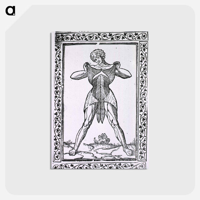 アートポストカード-Abdominal Muscles
 - 国立医学図書館 Postcard.