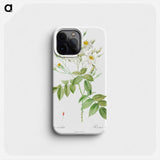Musk Rose - ピエール ジョゼフ ルドゥーテ Phone Case.