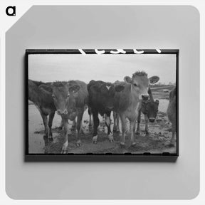 アートパネル-Cutting Out Calves
 - ラッセル リー Canvas.