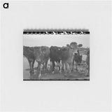 アートメモ帳-Cutting Out Calves
 - ラッセル リー Memo.