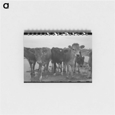 アートメモ帳-Cutting Out Calves
 - ラッセル リー Memo.