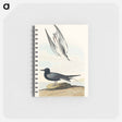 アートメモ帳-Black Tern from Birds of America
 - アメリカの鳥たち Memo.