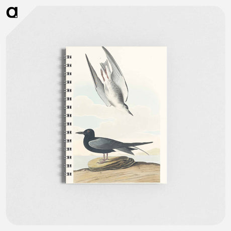 アートメモ帳-Black Tern from Birds of America
 - アメリカの鳥たち Memo.
