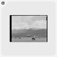 アートポストカード-Uinta Spring
 - ラッセル リー Postcard.