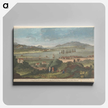 アートパネル-A View of Ringsend, Irish Town, The Harbour of Dublin, The Hill of Howth and The Strand on the North Side of the Harbour, The South Wall, The North Wall, Clontarf Island, Pool Beg
 - イェール大学アートギャラリー Canvas.