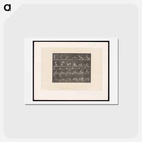 アートポストカード-Handspring
 - エドワード マイブリッジ Postcard.