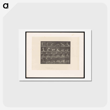 アートポストカード-Handspring
 - エドワード マイブリッジ Postcard.