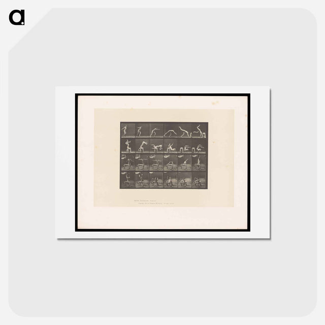 アートポストカード-Handspring
 - エドワード マイブリッジ Postcard.