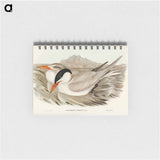 アートメモ帳-Powerful Tern
 - オーストラリアの鳥 Memo.