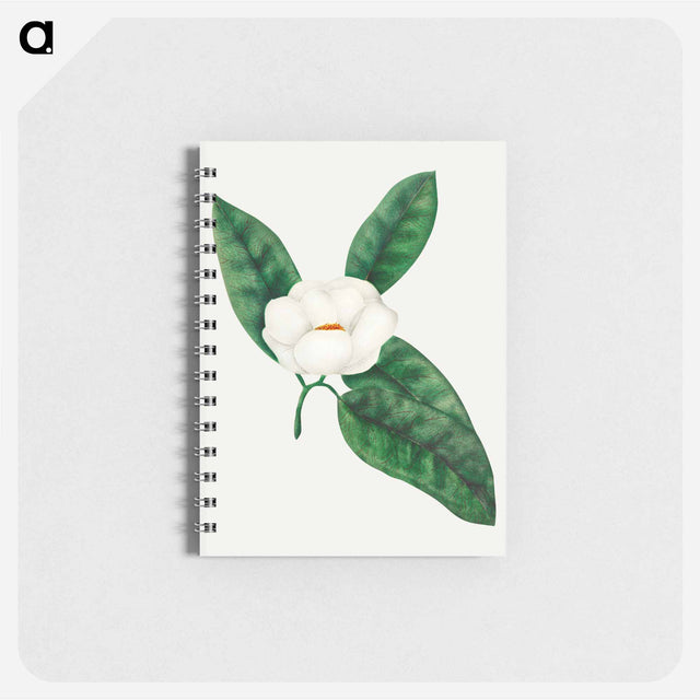 アートメモ帳-Magnolia
 - クリーブランド美術館 Memo.