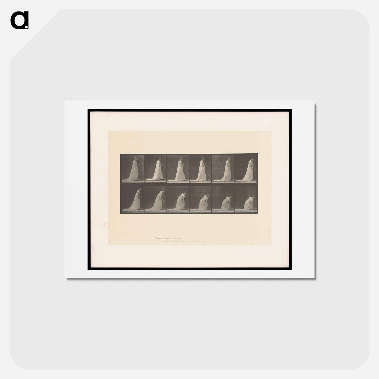 アートポストカード-The Fan
 - エドワード マイブリッジ Postcard.
