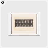 アートポストカード-The Fan
 - エドワード マイブリッジ Postcard.