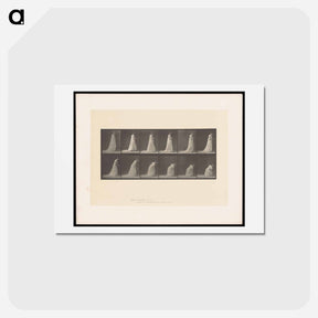 アートポストカード-The Fan
 - エドワード マイブリッジ Postcard.