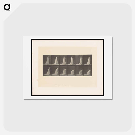 アートポストカード-The Fan
 - エドワード マイブリッジ Postcard.