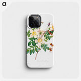 White rose of york - ピエール ジョゼフ ルドゥーテ Phone Case.
