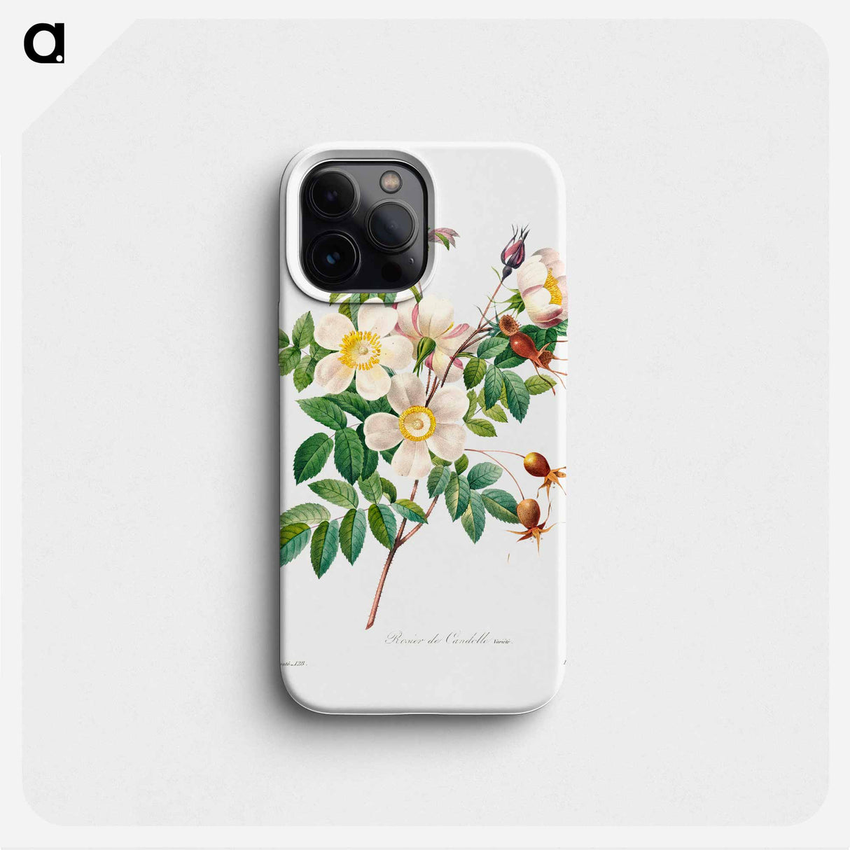 White rose of york - Pierre Joseph Redouté Phone Case.