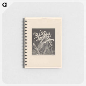 アートメモ帳-Orchideeën - テオ ヴァン ホイテマ Memo.