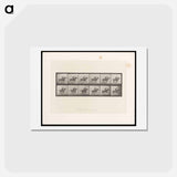 アートポストカード-Man on Horse
 - エドワード マイブリッジ Postcard.