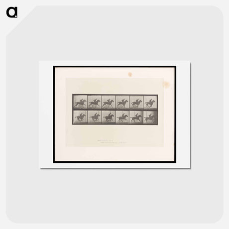 アートポストカード-Man on Horse
 - エドワード マイブリッジ Postcard.