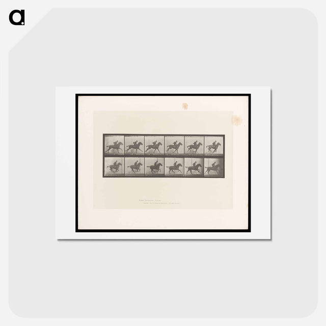 アートポストカード-Man on Horse
 - エドワード マイブリッジ Postcard.
