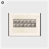 アートポストカード-Man on Horse
 - エドワード マイブリッジ Postcard.