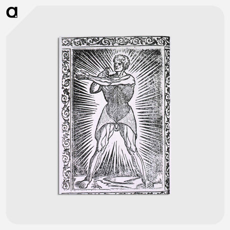 アートポストカード-Abdominal Muscles
 - 国立医学図書館 Postcard.