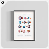 Common plum - Pierre Joseph Redouté Poster.