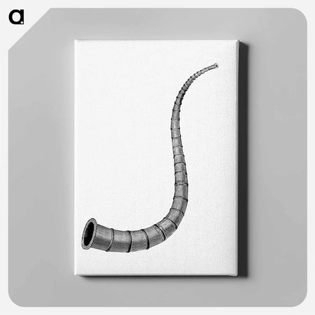 アートパネル-Warhorn from The History of Norway
 - 大英図書館 Canvas.