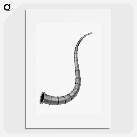 アートポスター-Warhorn from The History of Norway
 - 大英図書館 Poster.