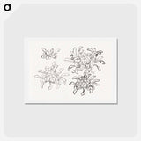 アートポストカード-Hokusai's chrysanthemum - 葛飾 北斎 Postcard.