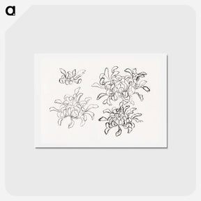 アートポストカード-Hokusai's chrysanthemum - 葛飾 北斎 Postcard.
