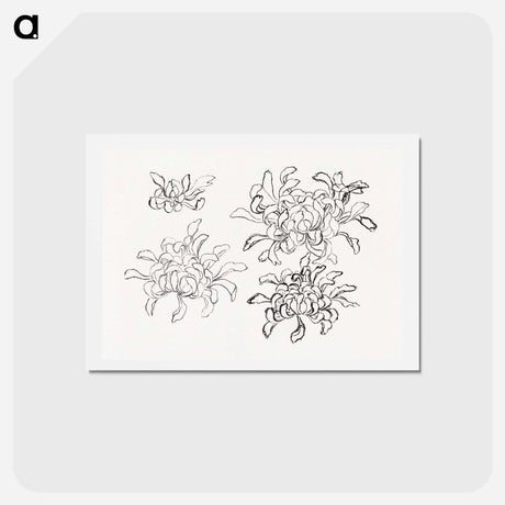 アートポストカード-Hokusai's chrysanthemum - 葛飾 北斎 Postcard.