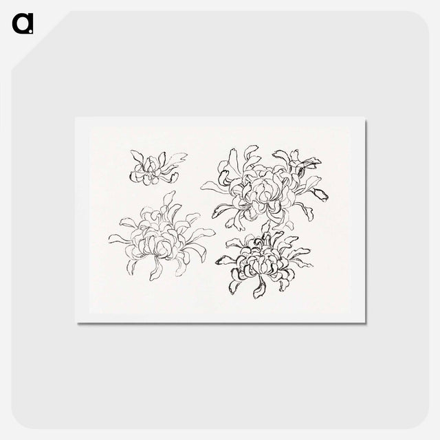 アートポストカード-Hokusai's chrysanthemum - 葛飾 北斎 Postcard.