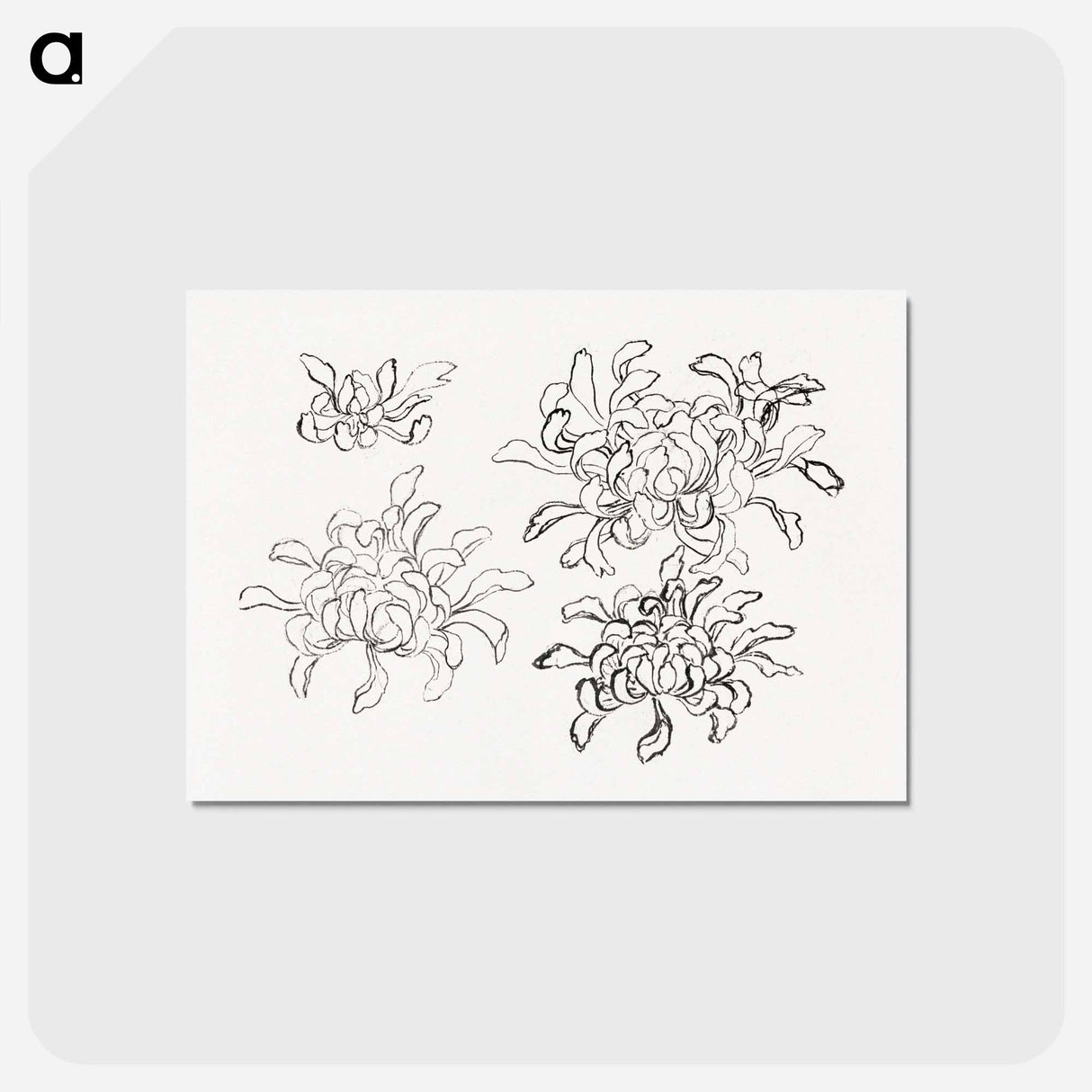 アートポストカード-Hokusai's chrysanthemum - 葛飾 北斎 Postcard.