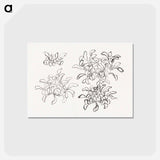 アートポストカード-Hokusai's chrysanthemum - 葛飾 北斎 Postcard.