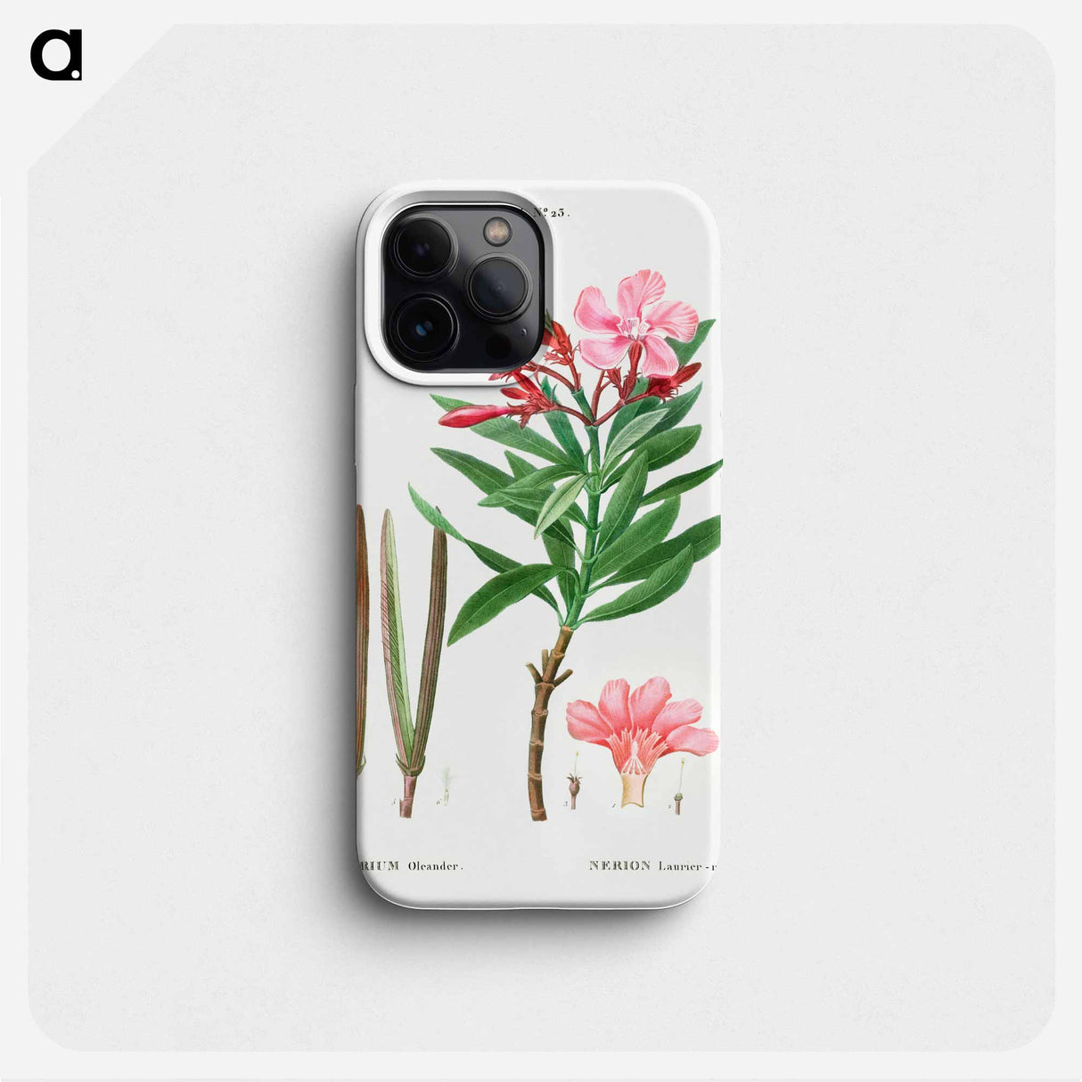 Oleander (Nerium oleander) - Pierre Joseph Redouté Phone Case.