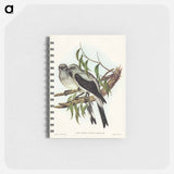 アートメモ帳-Ground Graucalus
 - オーストラリアの鳥 Memo.