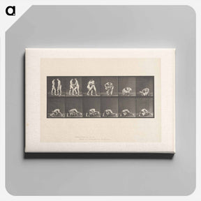 アートパネル-Wrestling Figures
 - エドワード マイブリッジ Canvas.