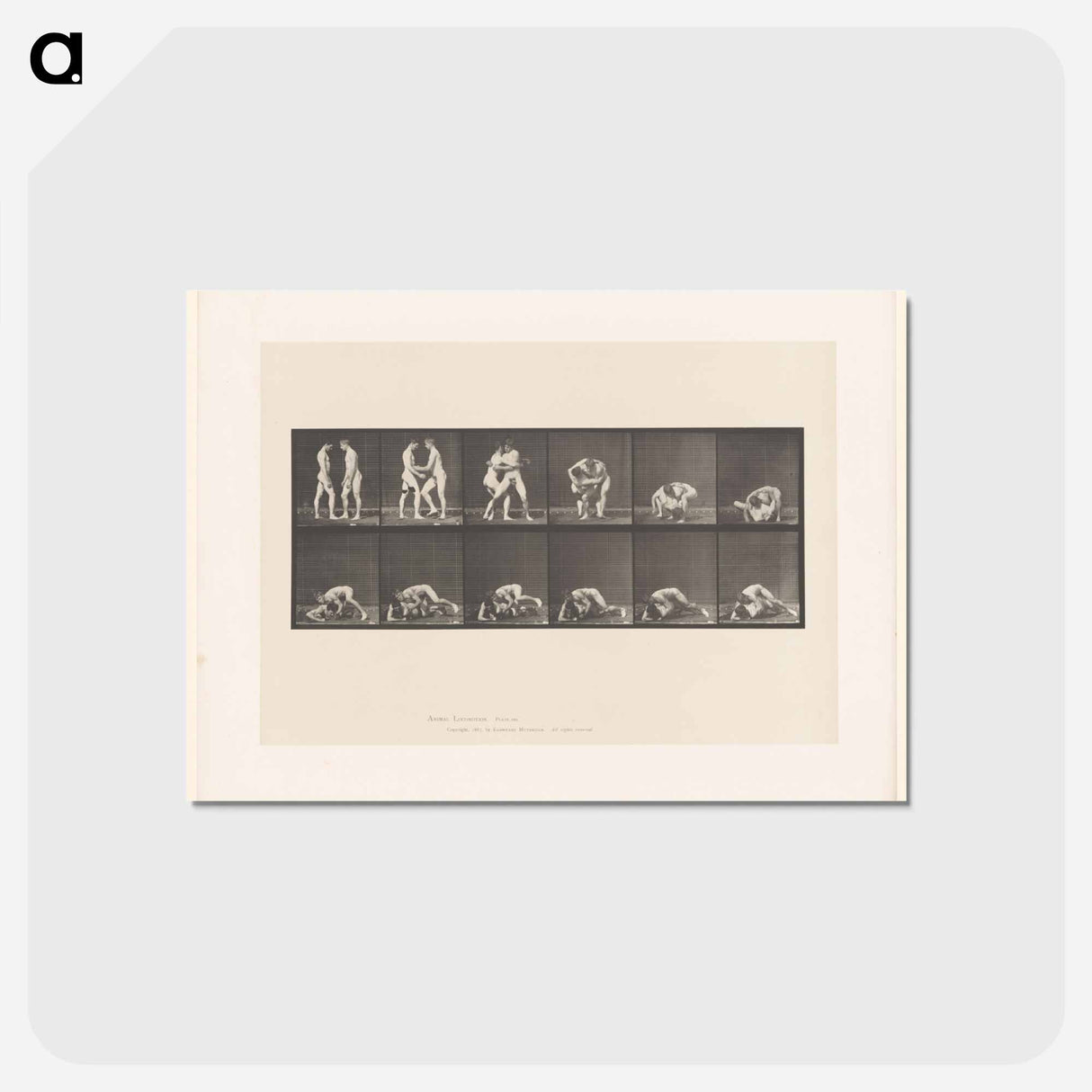アートポストカード-Wrestling Figures
 - エドワード マイブリッジ Postcard.