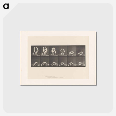 アートポストカード-Wrestling Figures
 - エドワード マイブリッジ Postcard.