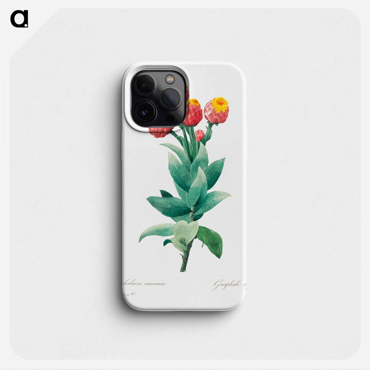 Cudweed - Pierre Joseph Redouté Phone Case.