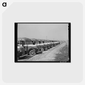 アートポストカード-Corpus Christi Buses
 - ラッセル リー Postcard.