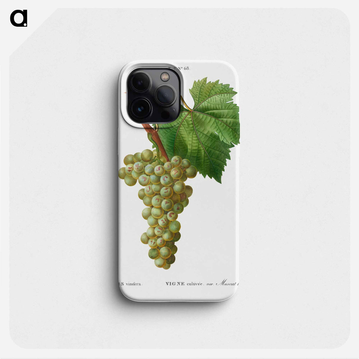 Grape vine, Vitis vinifera - Pierre Joseph Redouté Phone Case.