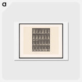 アートポストカード-Woman Pacing
 - エドワード マイブリッジ Postcard.