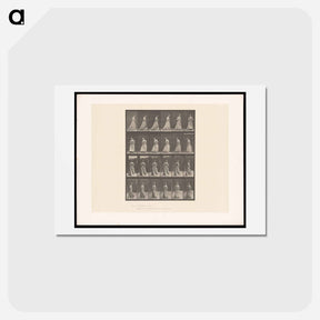 アートポストカード-Woman Pacing
 - エドワード マイブリッジ Postcard.