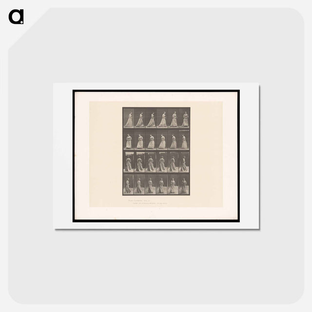 アートポストカード-Woman Pacing
 - エドワード マイブリッジ Postcard.