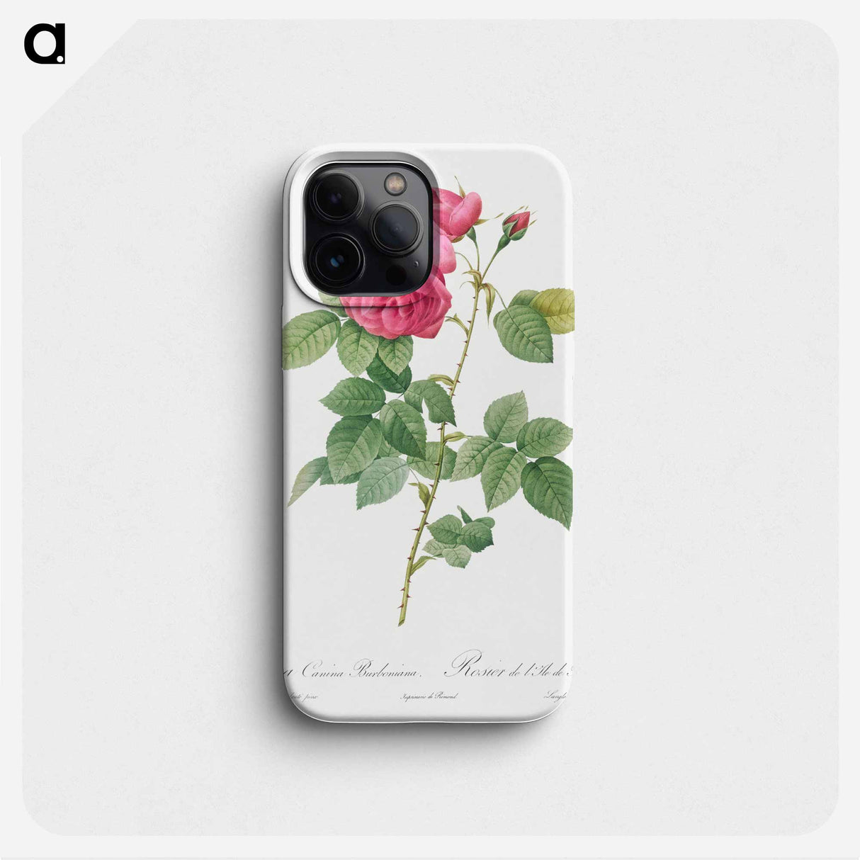 Bourbon Rose - Pierre Joseph Redouté Phone Case.